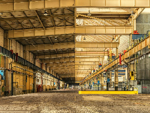 pexels-pixabay-236698_(1)