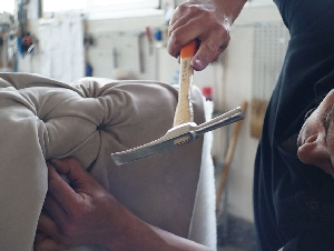 pexels-pixabay-279645