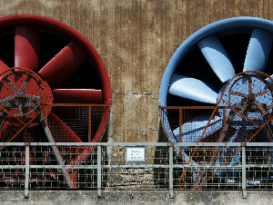 pexels-pixabay-416423_(1)