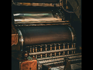 pexels-pixelstories-36559330