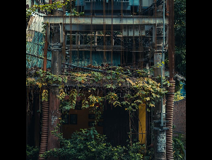 pexels-quang-minh-197679900-11520934