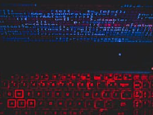 pexels-rahulp9800-1933900