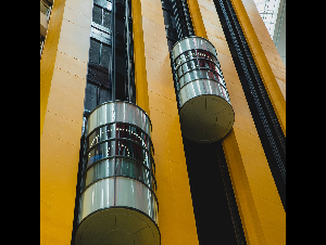 pexels-ryutaro-6249432