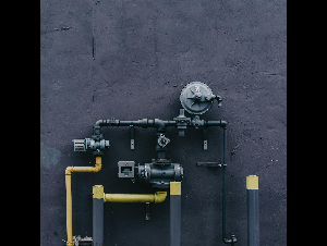 pexels-scottwebb-1029635