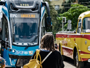 pexels-shox-28585250