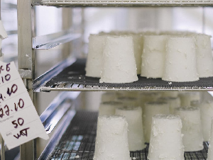 pexels-shvetsa-5953685