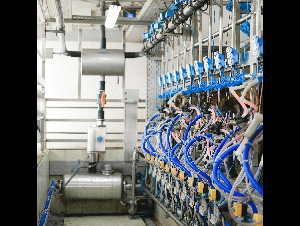 pexels-shvetsa-5953813