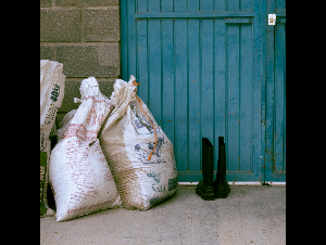 pexels-sofia-candia-634842752-34306730_(1)