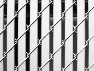 pexels-steve-pancrate-1746203-3312606