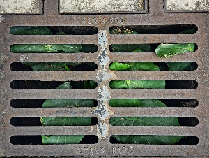 pexels-superbfnds-6464248