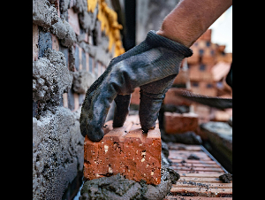 pexels-thanh-long-bui-483143920-329137971