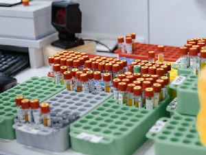 pexels-tima-miroshnichenko-95743252