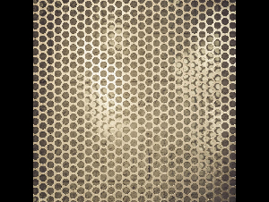 pexels-timmossholder-34996983