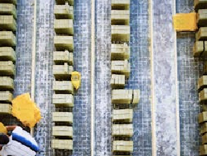 pexels-tkirkgoz-29764115