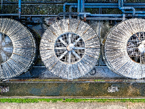 pexels-tomfisk-6048393