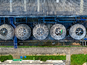 pexels-tomfisk-6060196