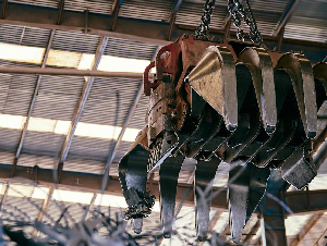 pexels-willians-huerta-2157111846-36397940_(1)