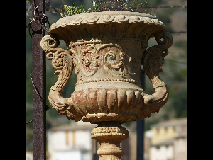 planter-1338712_12801