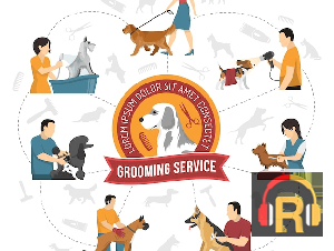 Where to Find Trusted Pet Care and Grooming Services Locally