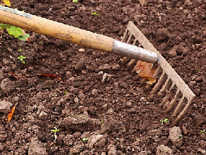 rake-2915742_640