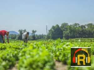 How Agricultural Service Providers Support Modern Farming