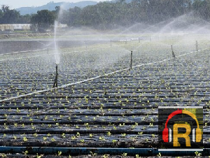 Drip Irrigation vs. Sprinkler Irrigation: Which System Fits Your Farm?