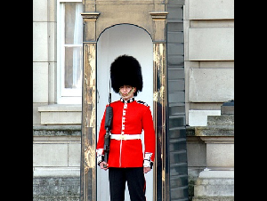 royal-8173774_640