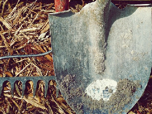 shovel-1867123_6401