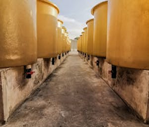 tank_images4