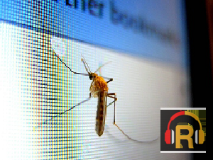 Integrated Pest Control Pvt. Ltd.