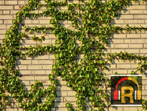 Bharathi Cement Products