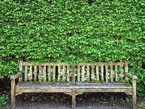 wooden-bench-3392273_1280